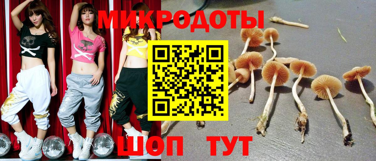Галлюциногенные грибы GOLDEN TEACHER Челябинск