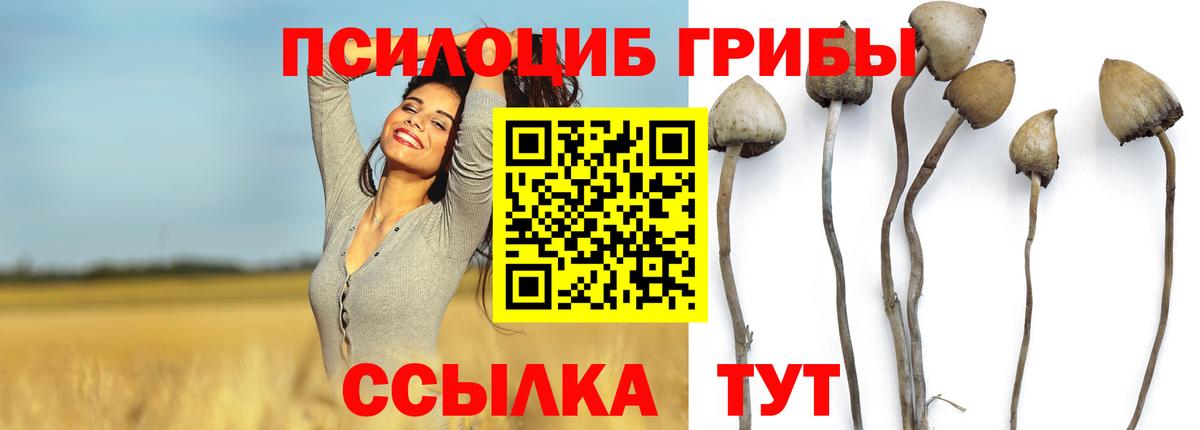 Челябинск  Галлюциногенные грибы Cubensis  купить наркотик  Вход с VPN 